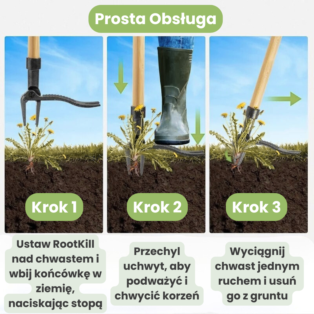 Jak używać PlantTool — trzy ruchy